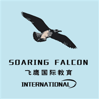 飞鹰国际教育机构标识