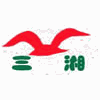 长沙市三湘电脑会计学校机构标识