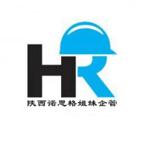陕西诺思格姐妹企管机构标识
