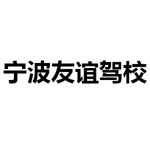 宁波友谊驾校机构标识