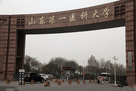 泰山医学院
