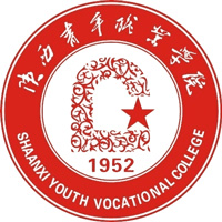陕西青年职业学院校徽